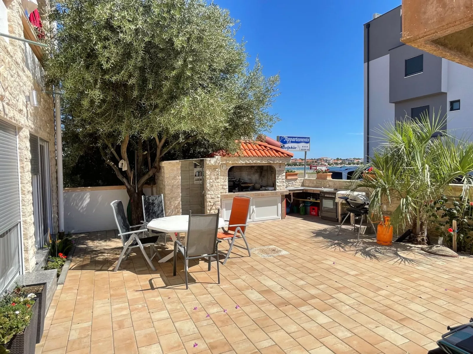 Delfin-Image-tags.info