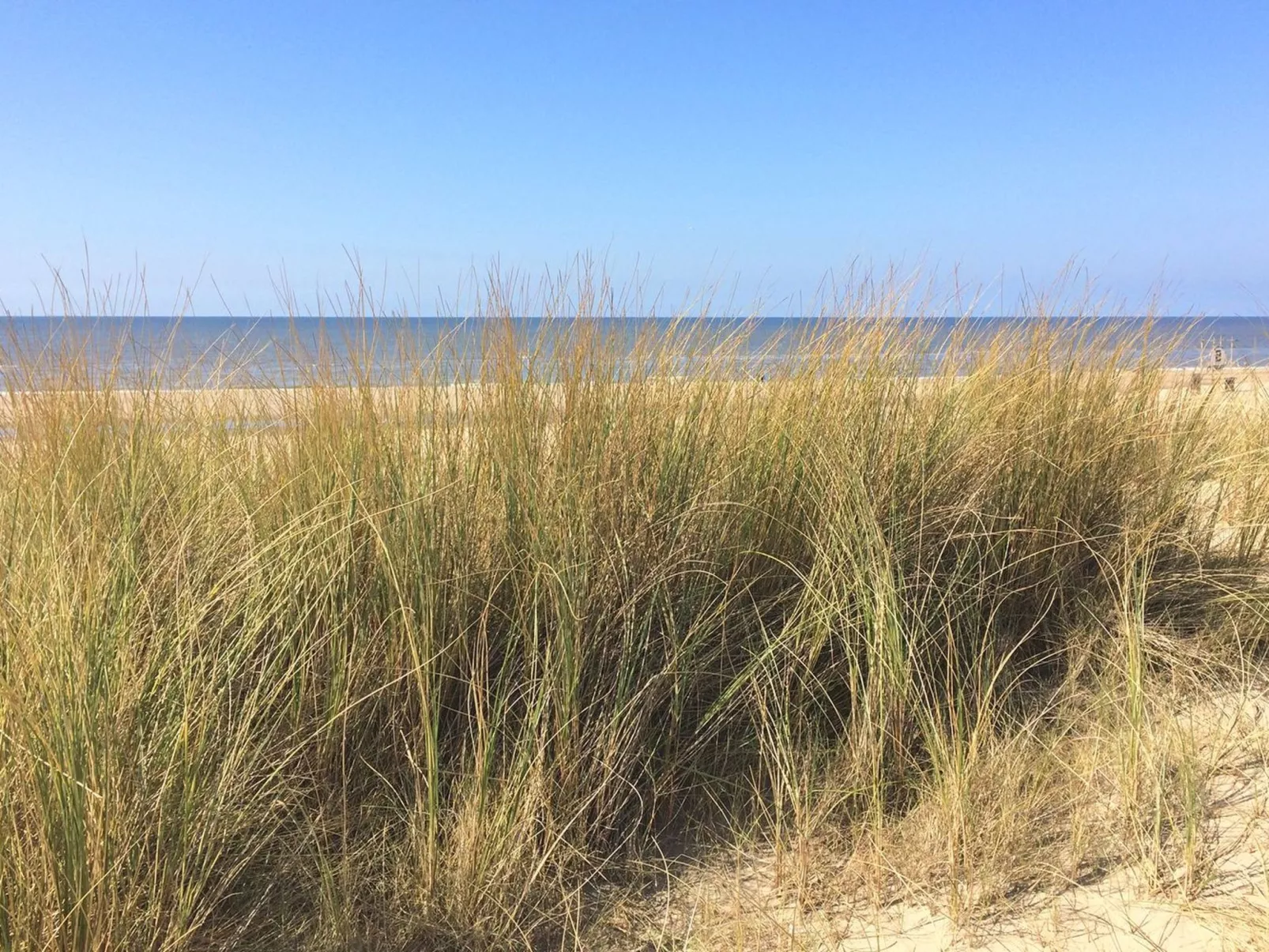 MarBriliante-Image-tags.info