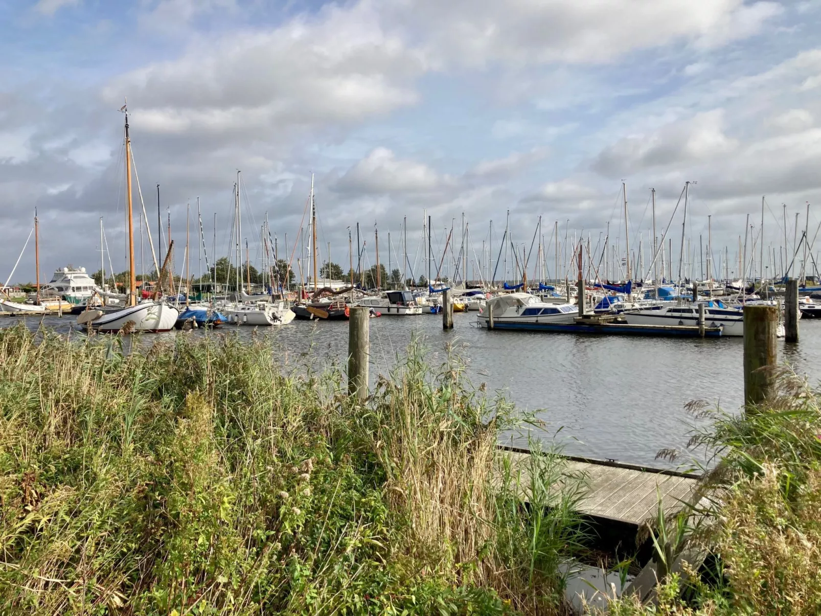 009 Casa Rosa-Buiten