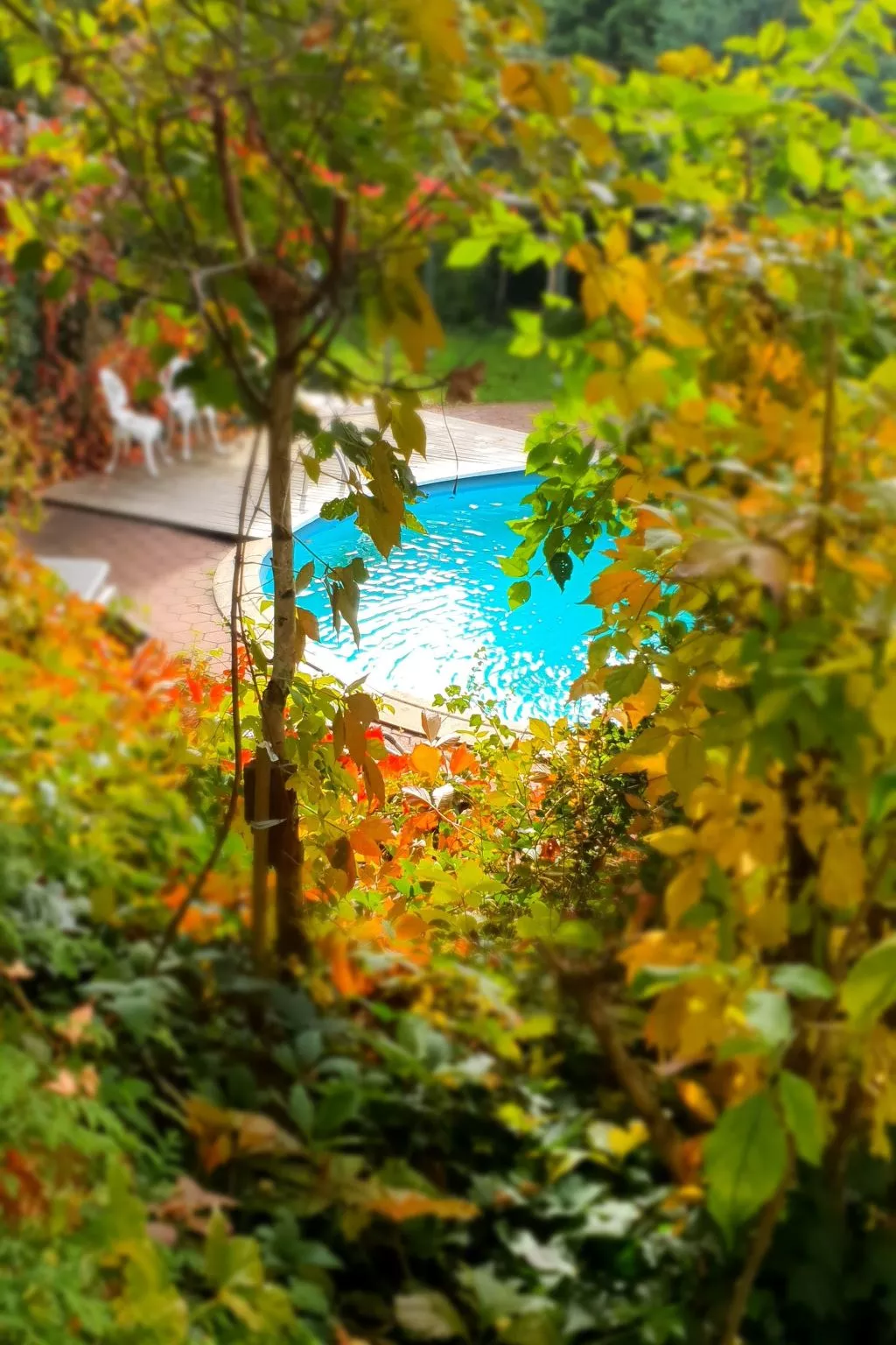 In Glashütt mit Finnischer Sauna-Buiten