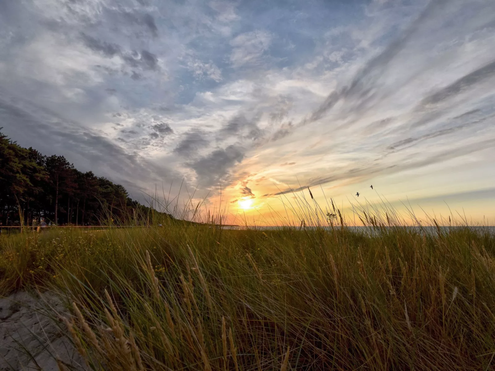 Familiäres, charmantes Appartement in Zingst-Buiten