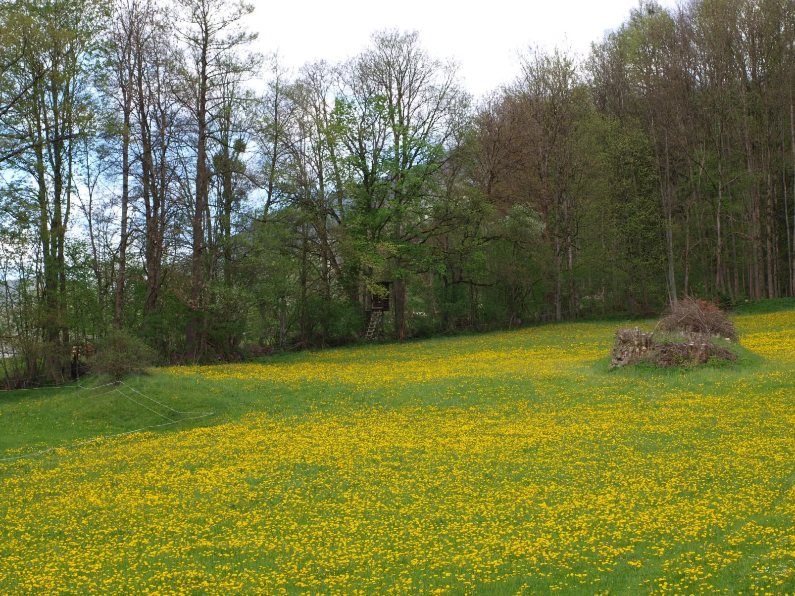 Haus der Natur-Buiten