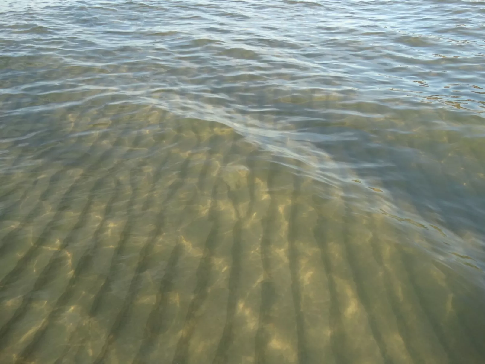 Wohnung 4 "Ferienhaus Wave"-Image-tags.info