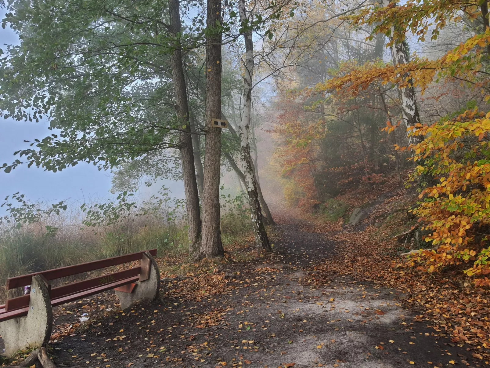 Waldhaus57 Silbersee-Buiten