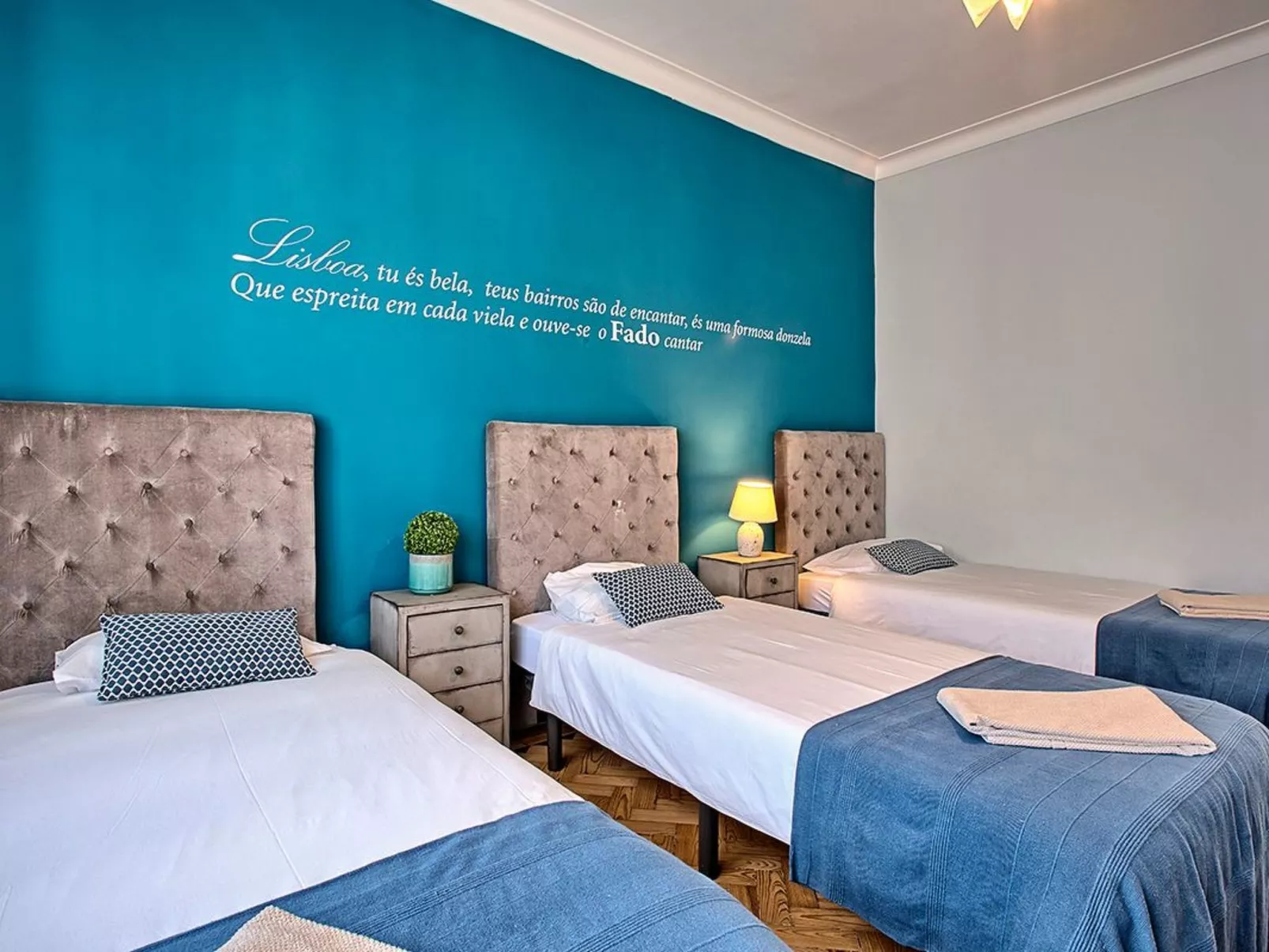 Apolónia 4E-Image-tags.info