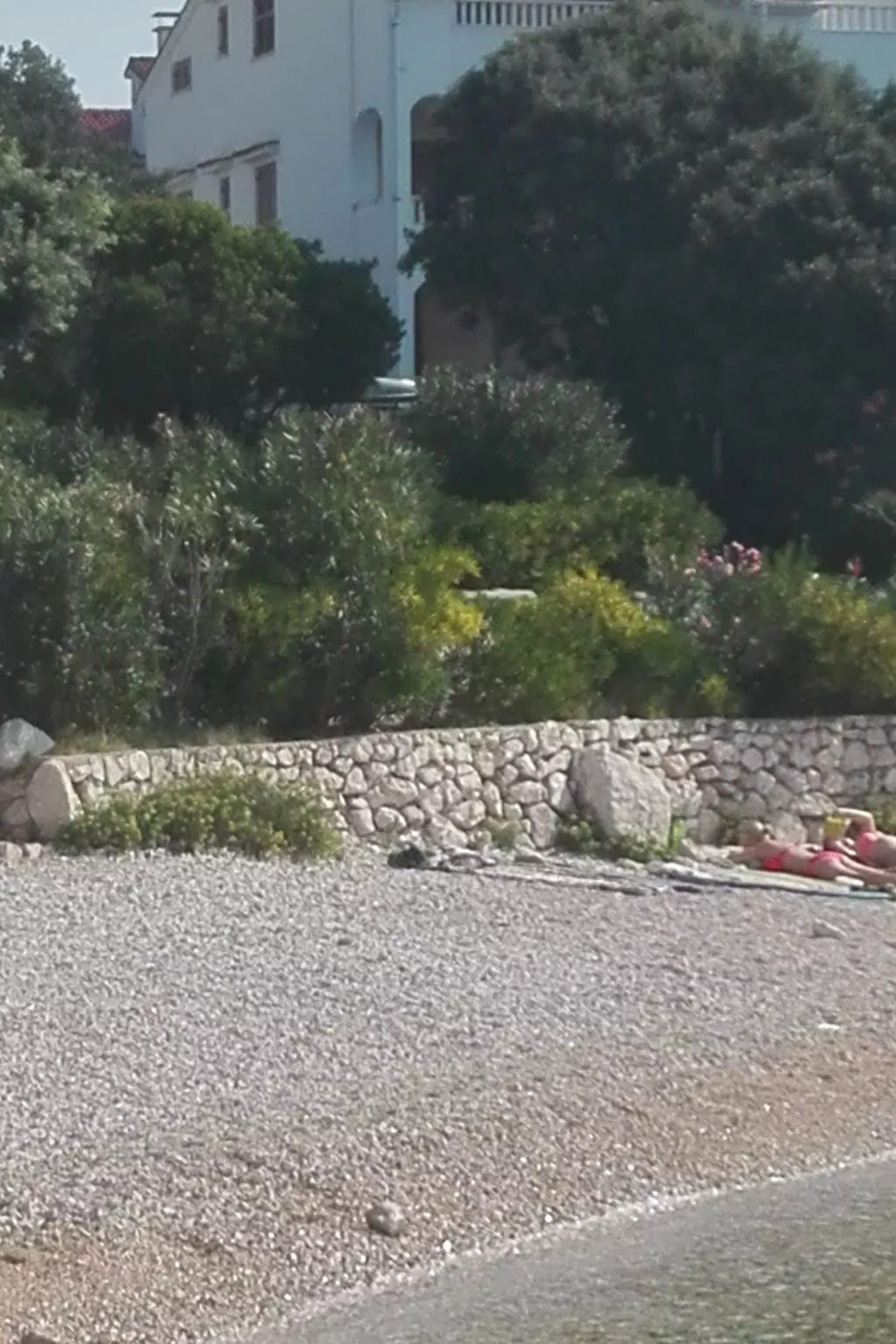 "Mia" mit Blick auf das Wasser