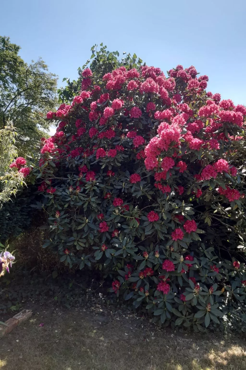 Finca "Motje" mit Aussicht