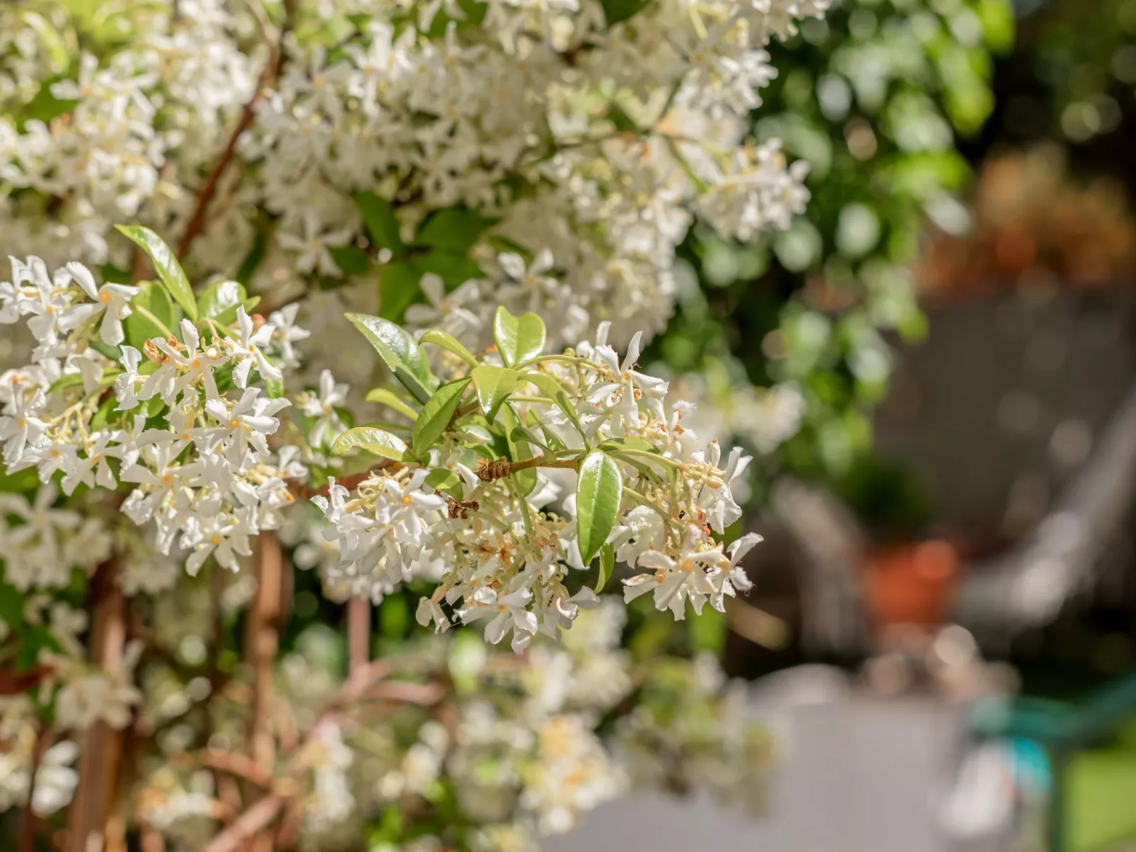 In Algés mit Kleinem gemeinsamem Pool - Buiten