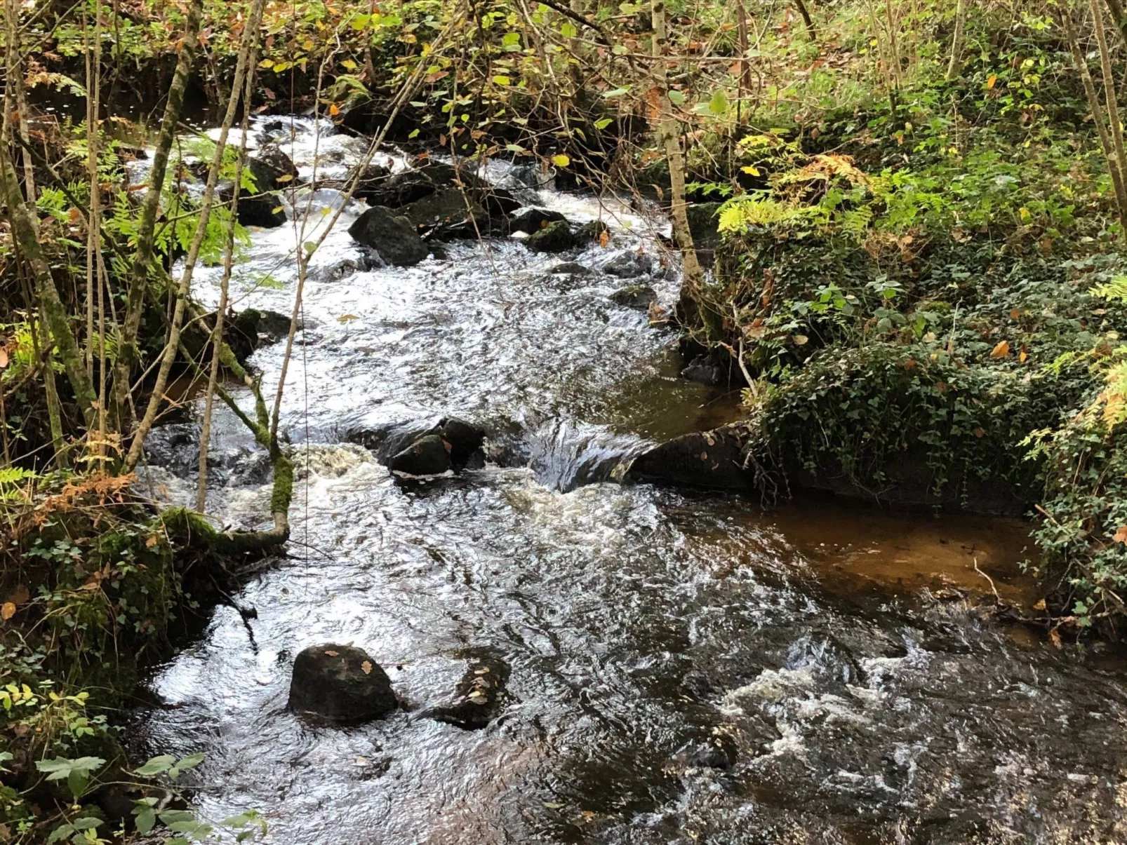 Direkt am Strand-Buiten