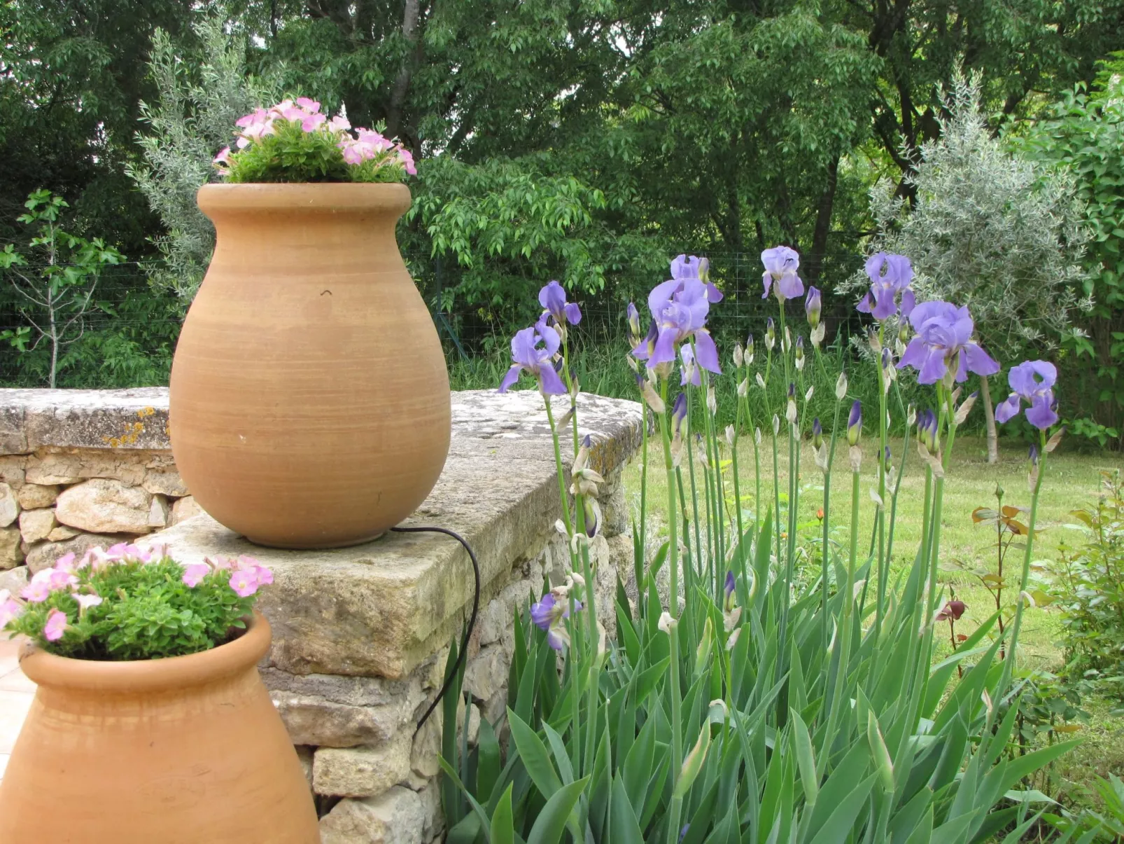 "Eutherpes Haus"-Buiten