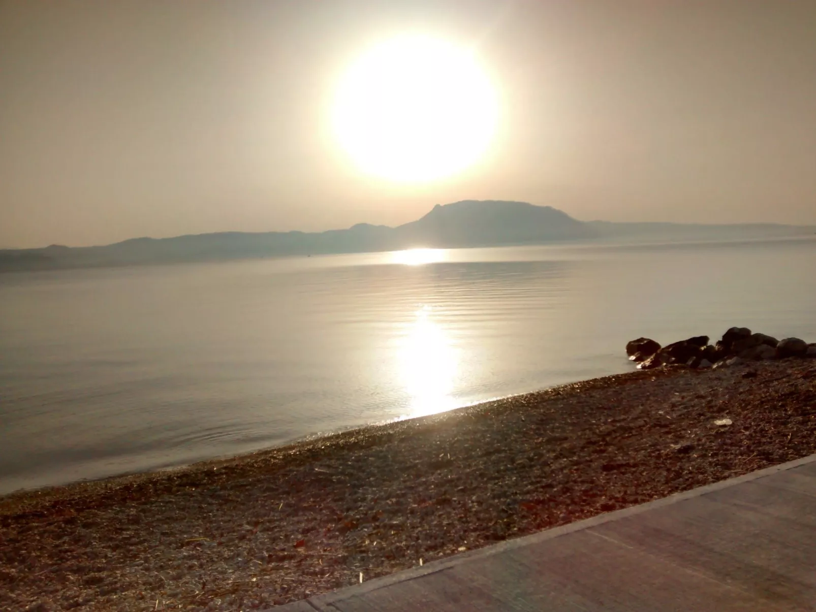 Neben Orangenbaum-Obstgarten-Buiten