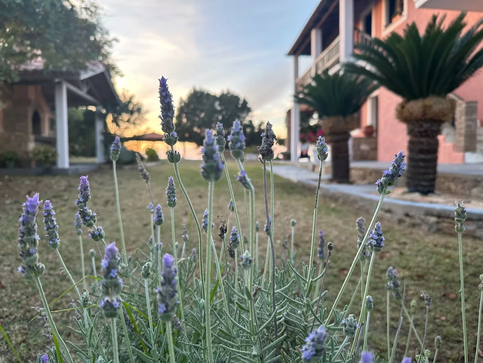 Apartment mit Meer- und Gartenblick - Genari Beach-Buiten