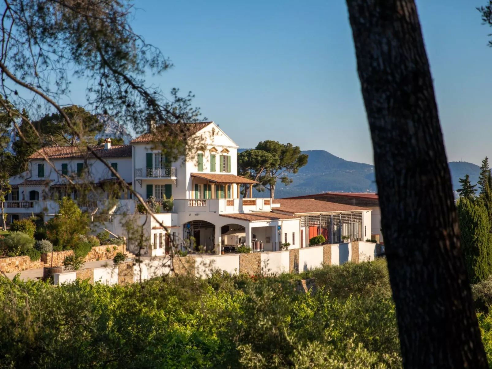 Im Herzen eines provenzalischen Weinguts, Terrasse mit Meerblick, Pool