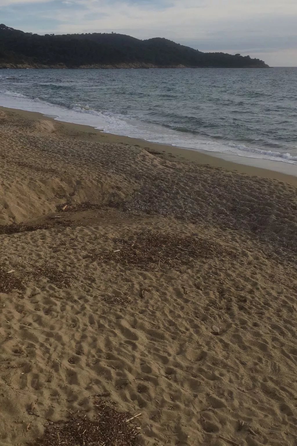 Wohnung mit Terrasse-Buiten