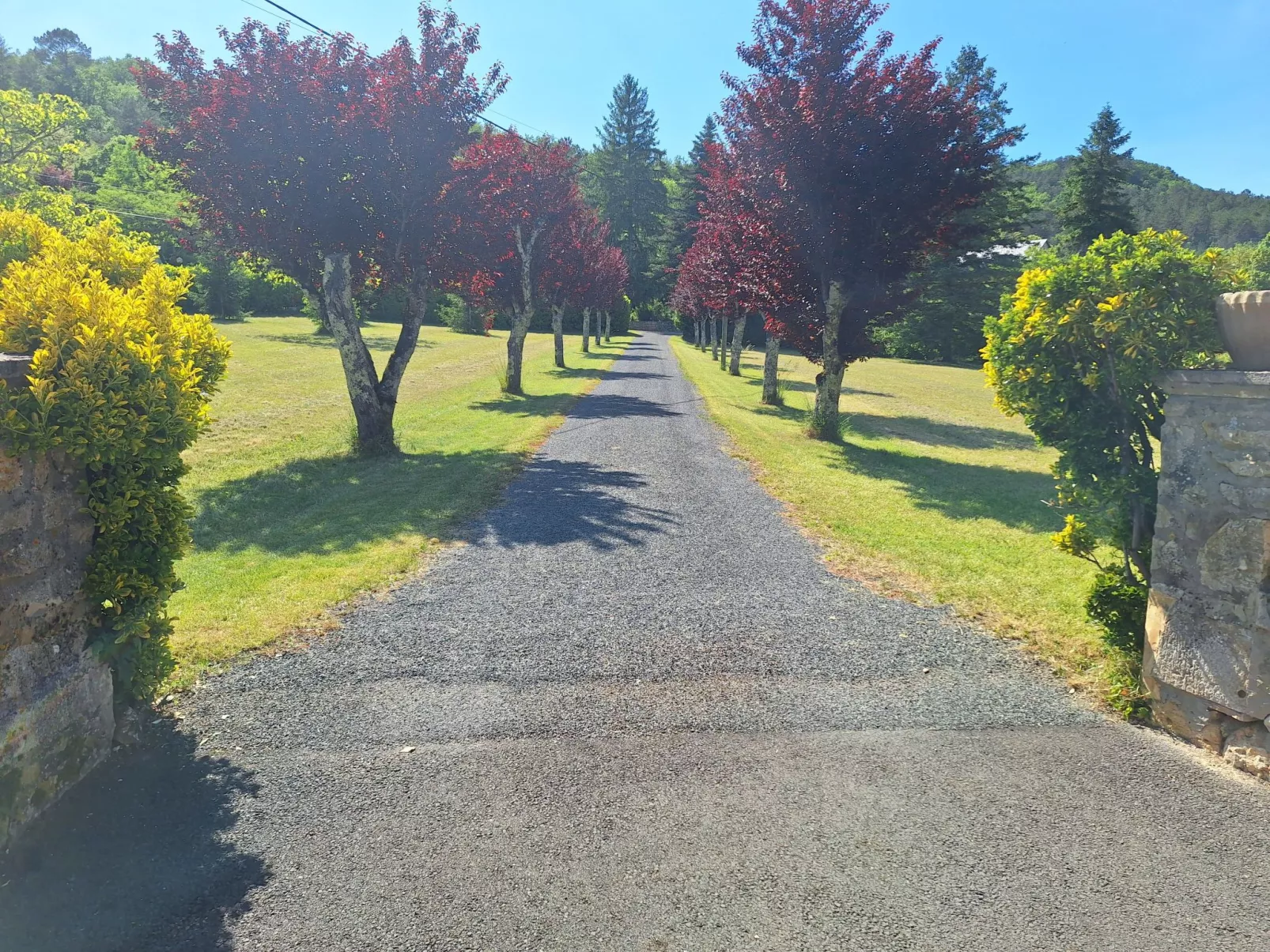 Im Périgord in Saint-Cybranet-Buiten