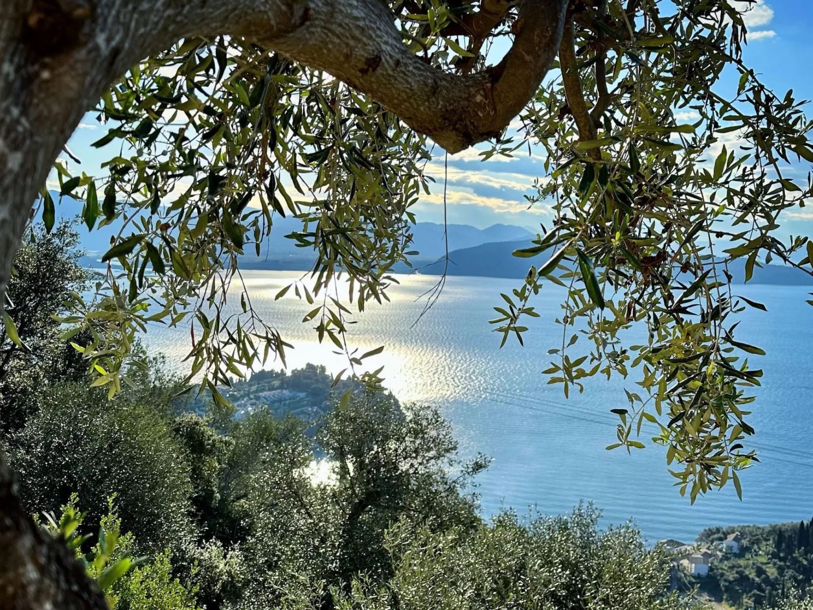 Prächtige Villa in spektakulärer Lage-Image-tags.info