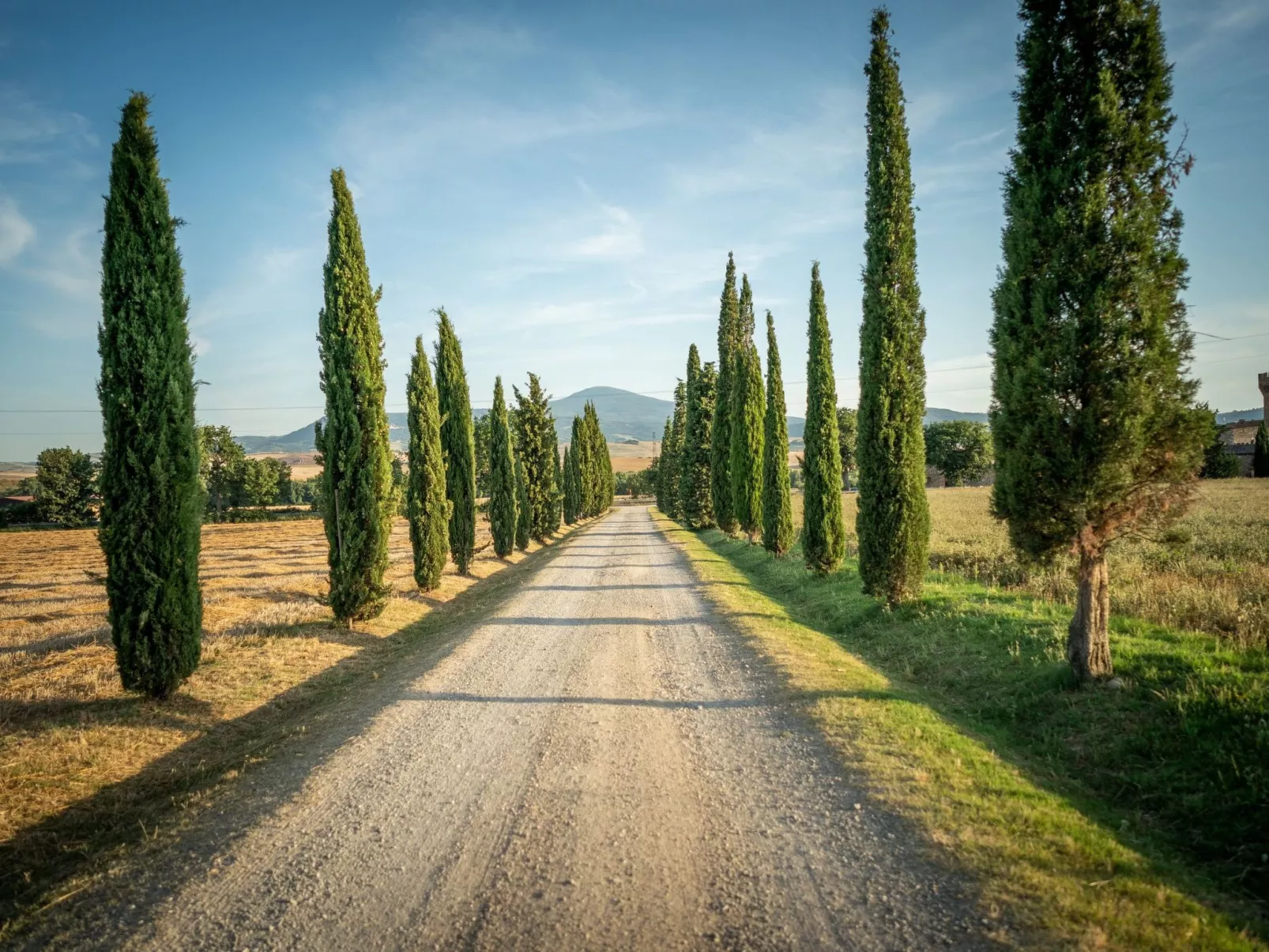 Tenuta "Podere Osteria"-Buiten