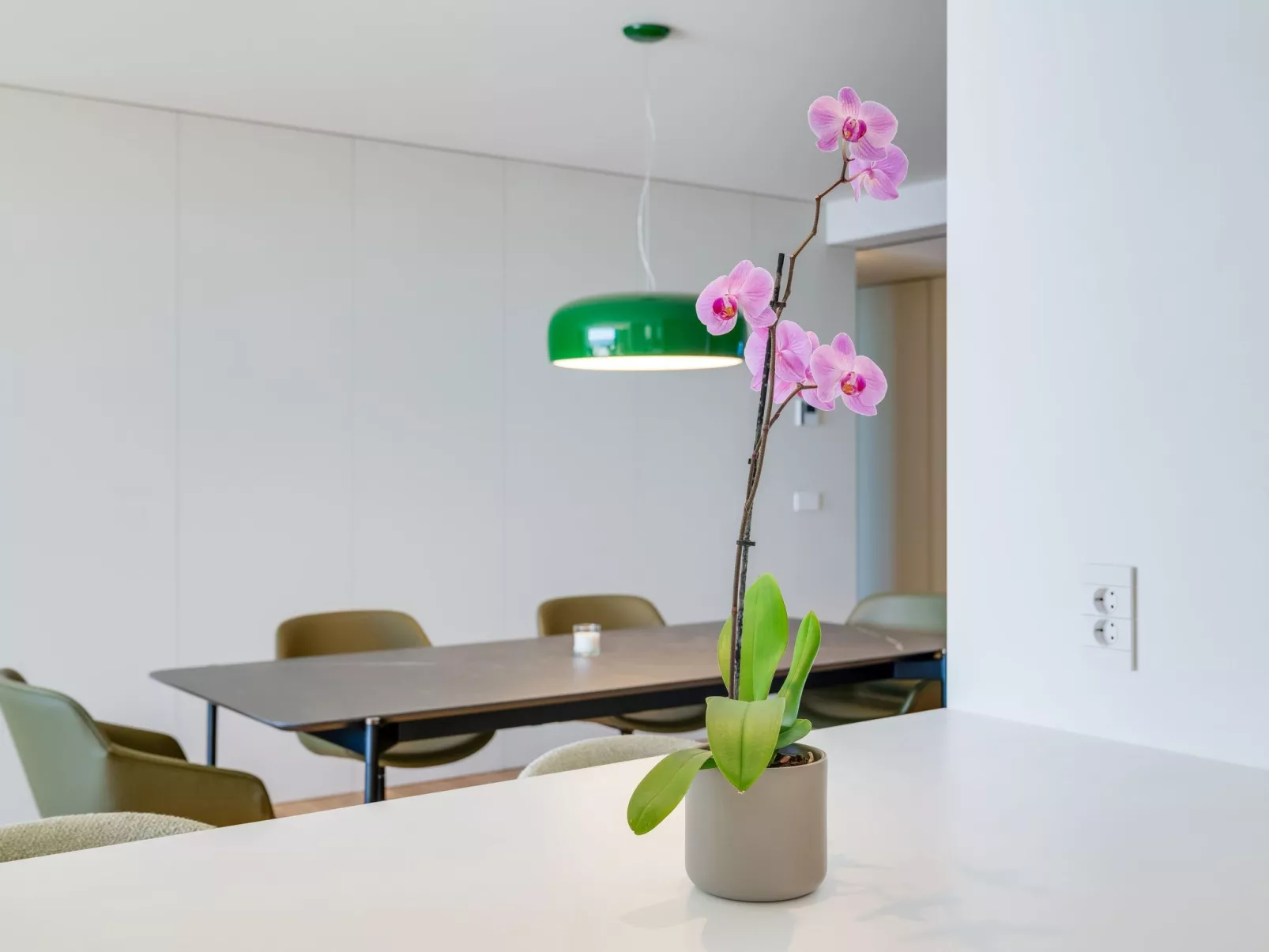 RJS Savoy Monumentalis-Image-tags.info