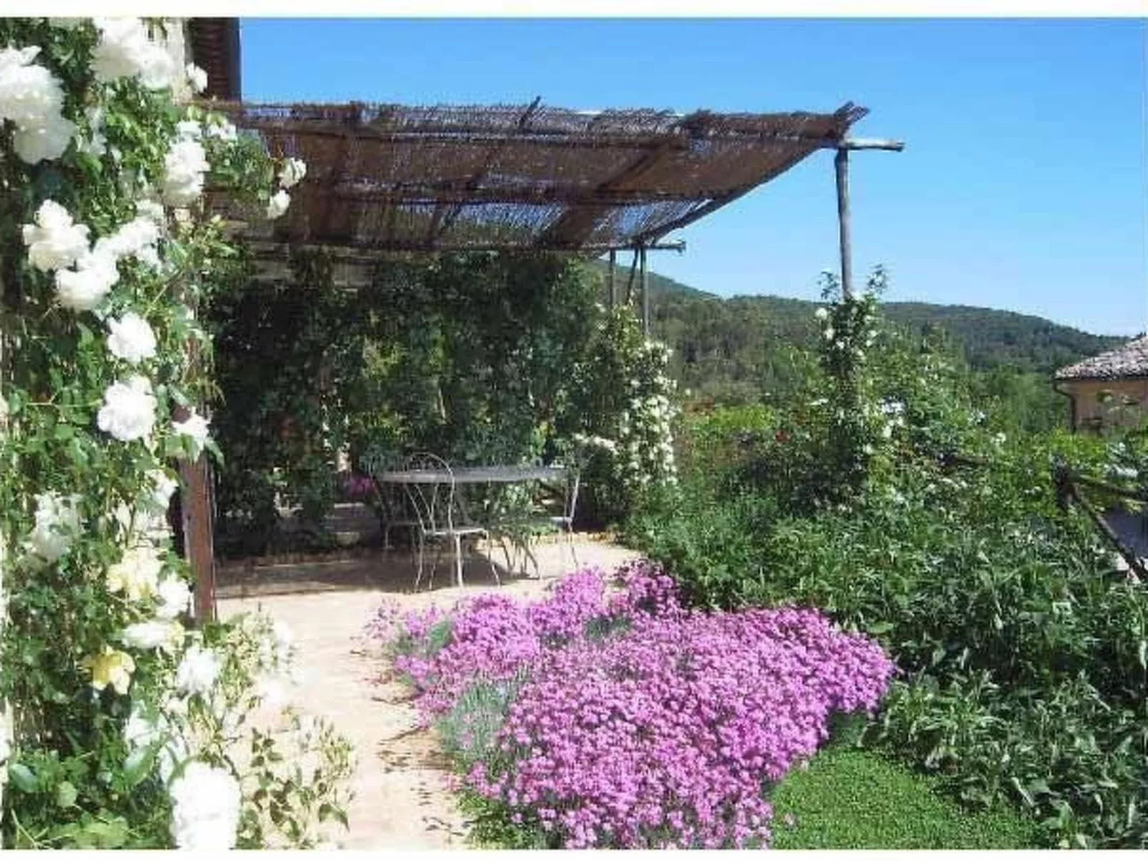 Gartenrotschwanzmascie-Image-tags.info