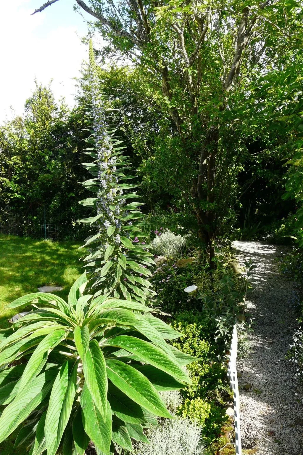 Mit Blick auf das Wasser-Buiten