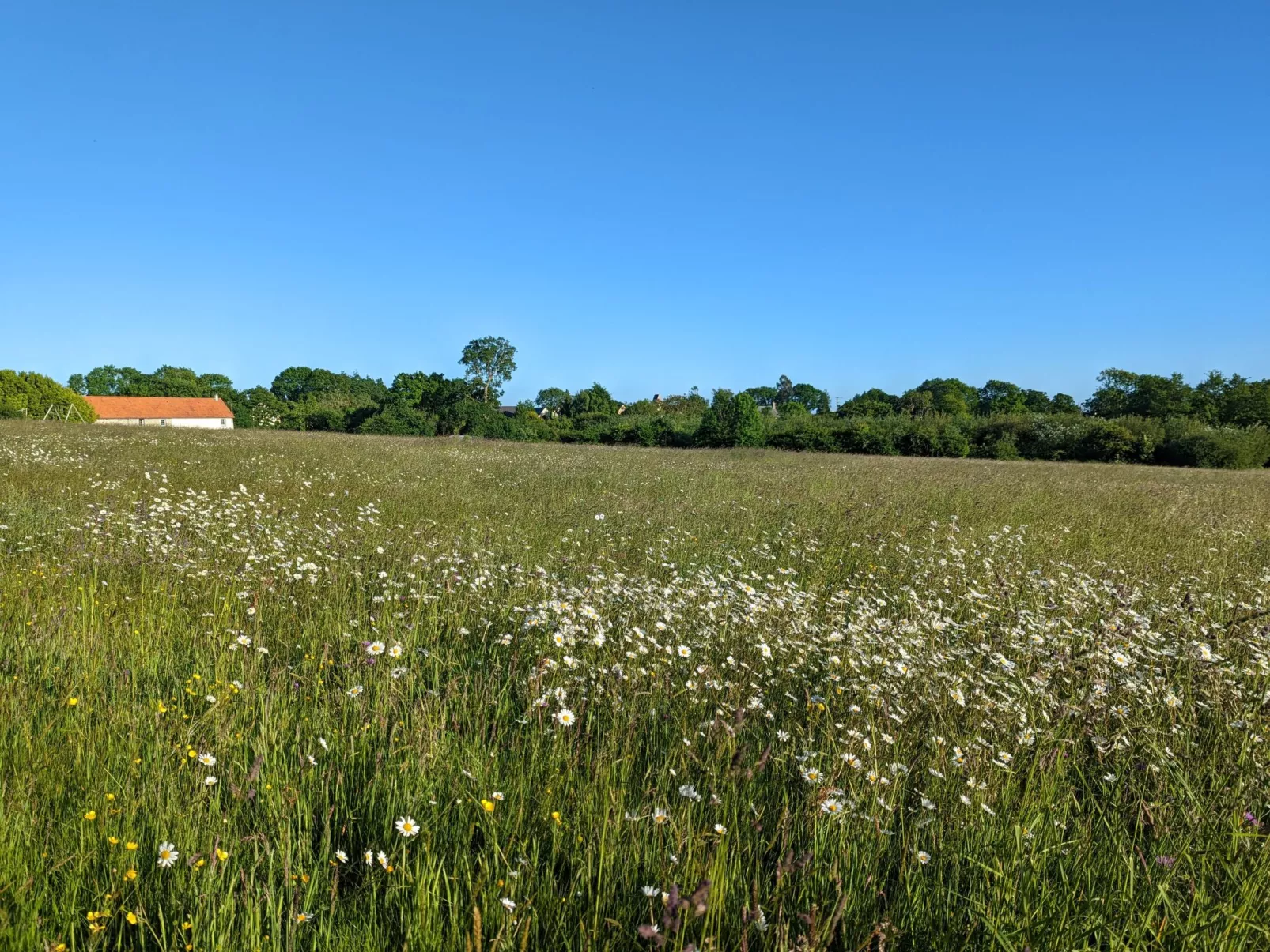 Estate "Le Pressoir" (Die Kelterei)-Buiten
