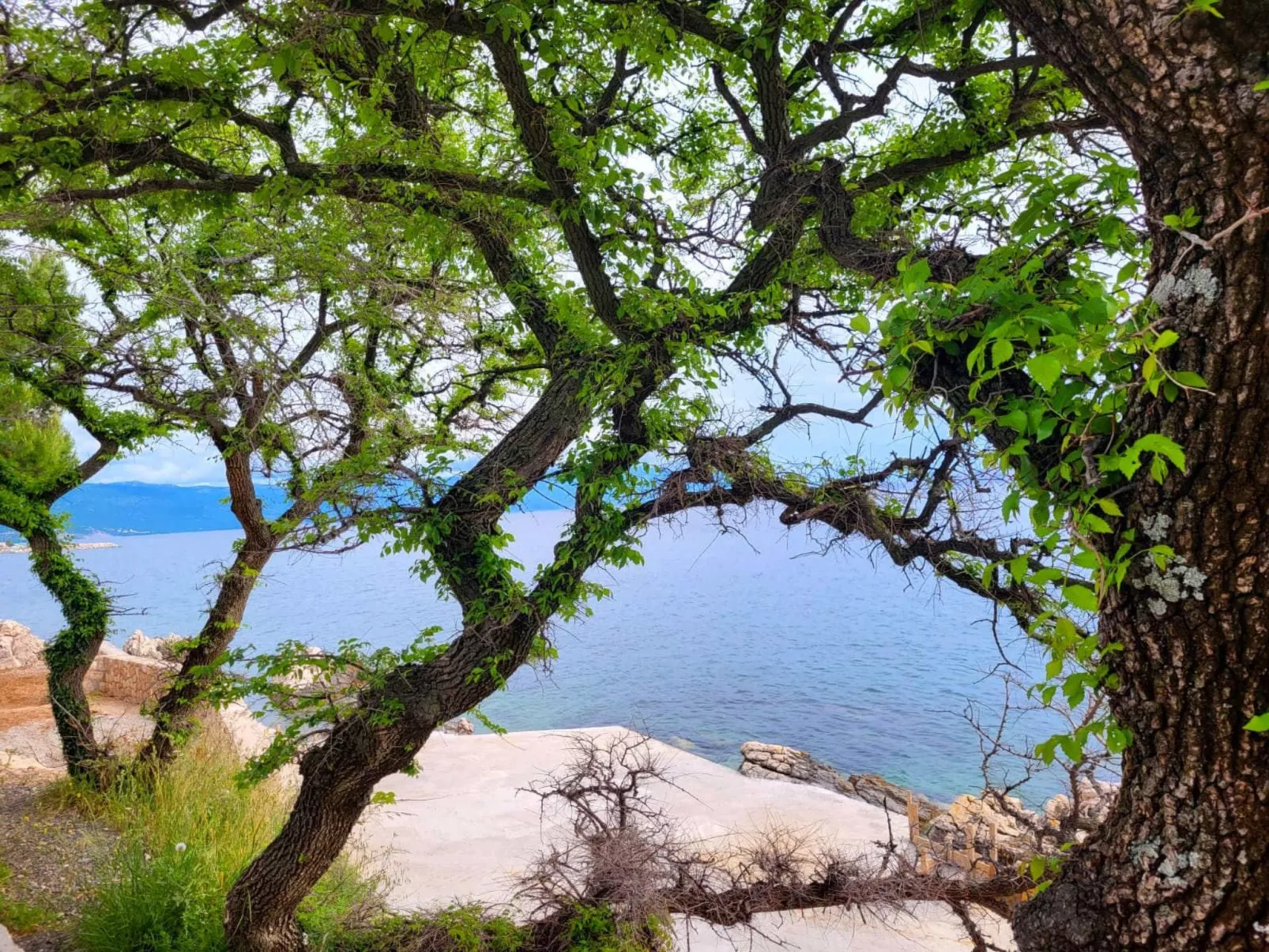 Wohnung in Novi Vinodolski-Buiten