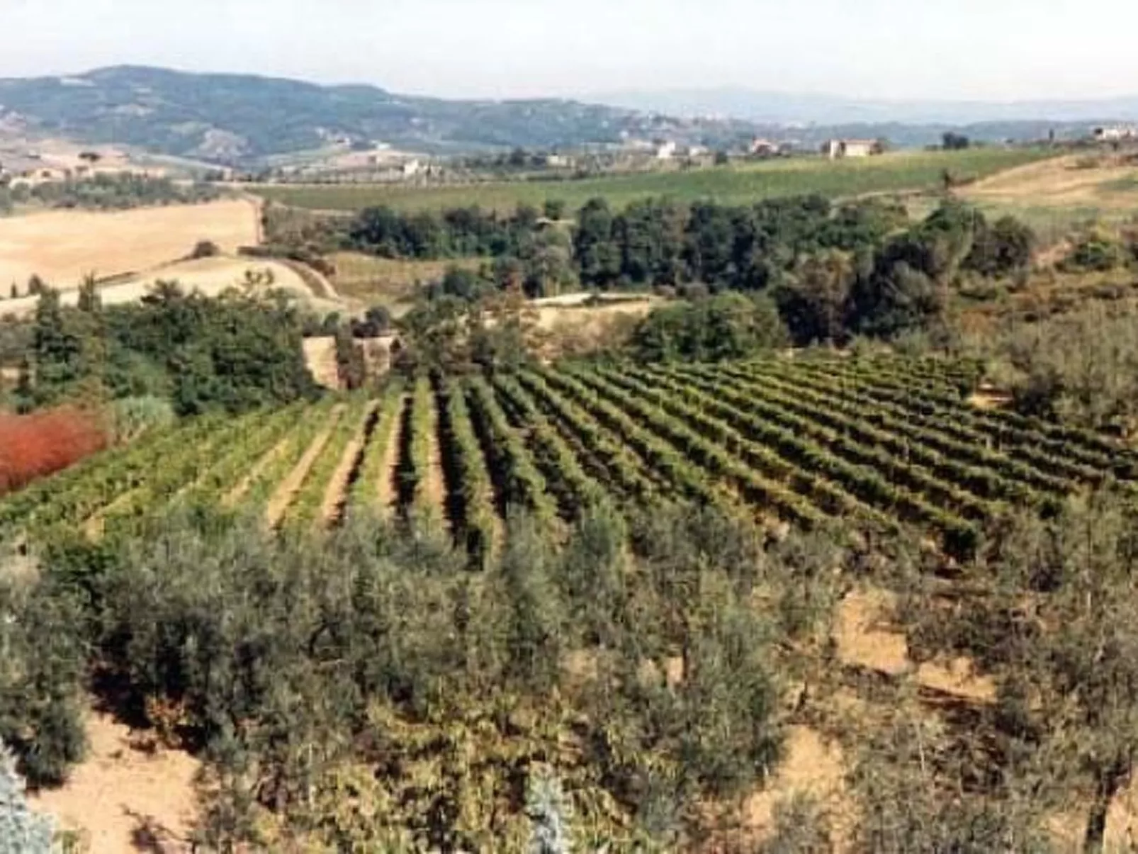 Anwesen "I Leonie" mit privatem Garten und Grill-Image-tags.info