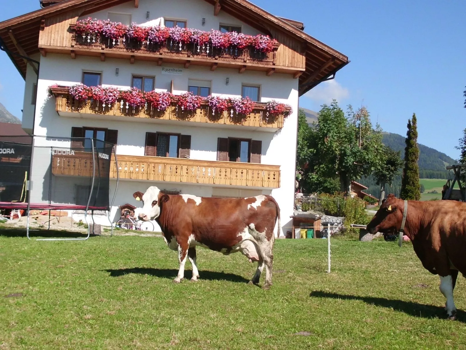 Rosenheim Appartement 2-Buiten