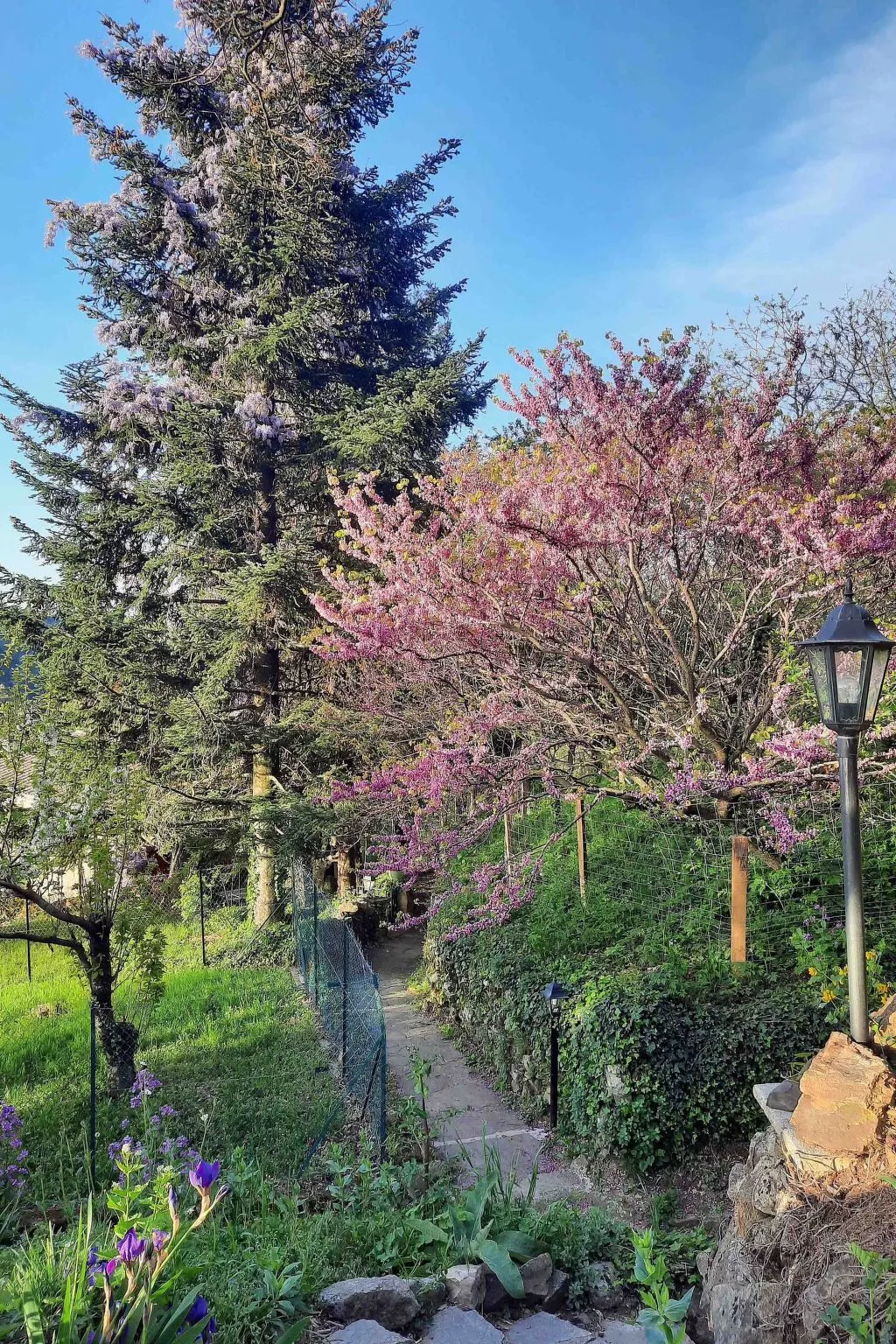 Klimatisiertes Ferienhaus mit Pool-Buiten