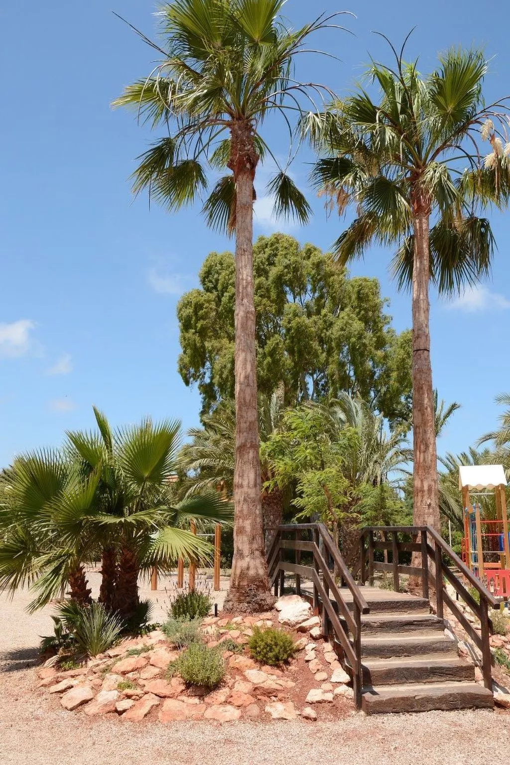 Almendros 7-Image-tags.info