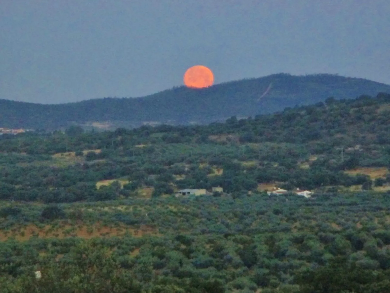 Das Cortijo auf der Finca al-manzil-Image-tags.info