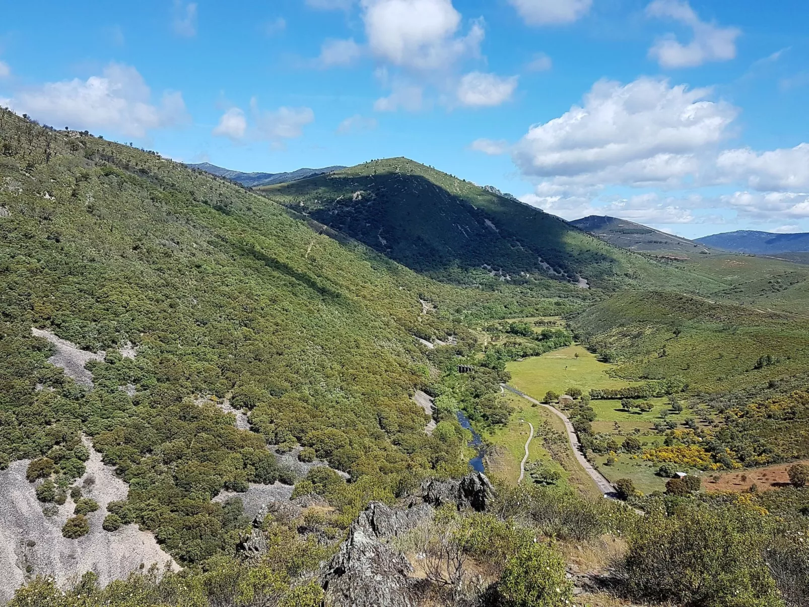 Mit privatem Pool-Image-tags.info