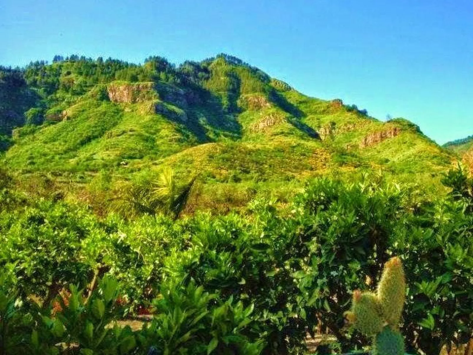 Finca mit Garten, Grill und Terrasse-Buiten