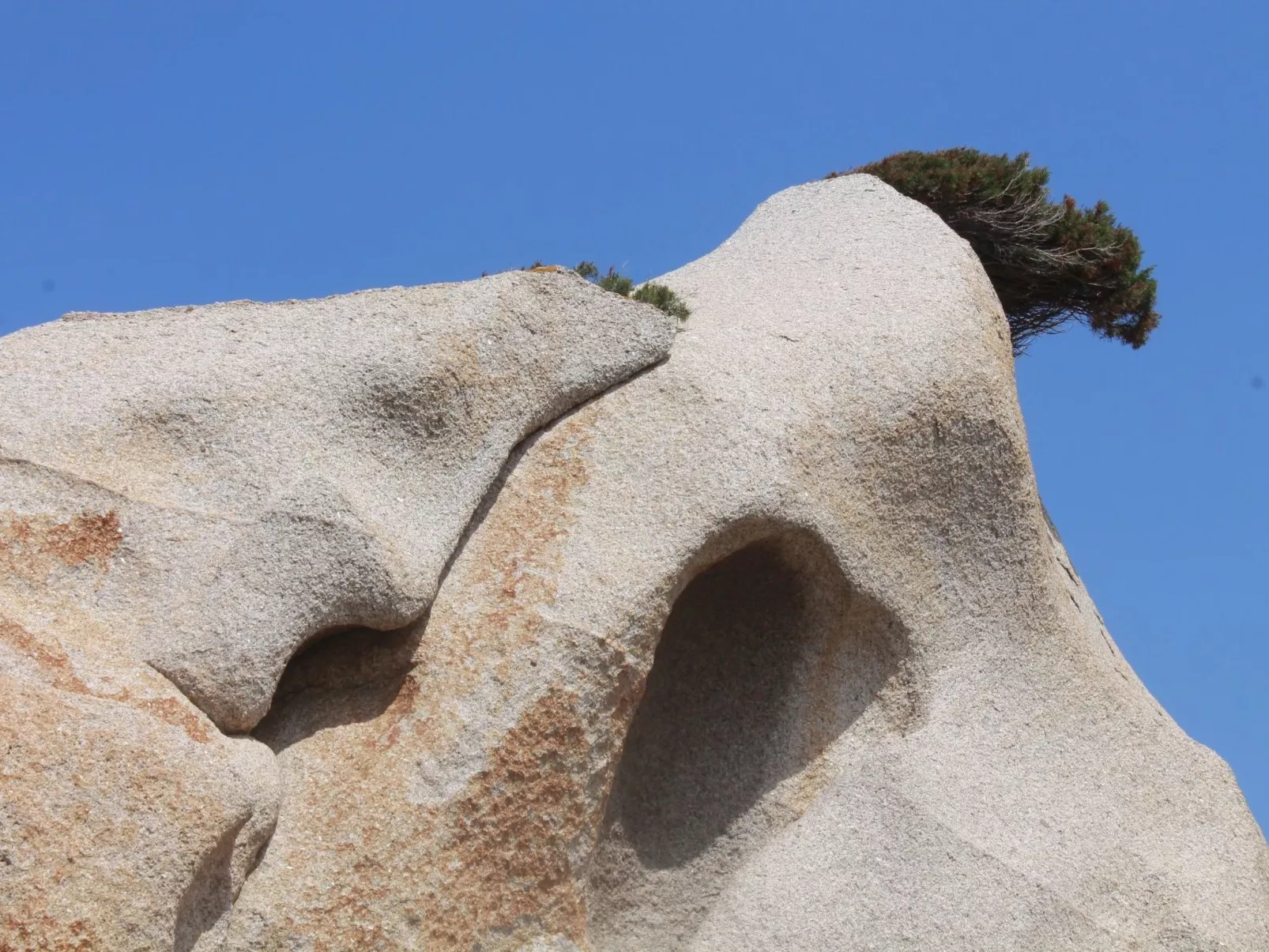 Stazzo mit Garten in Luogosanto-Image-tags.info