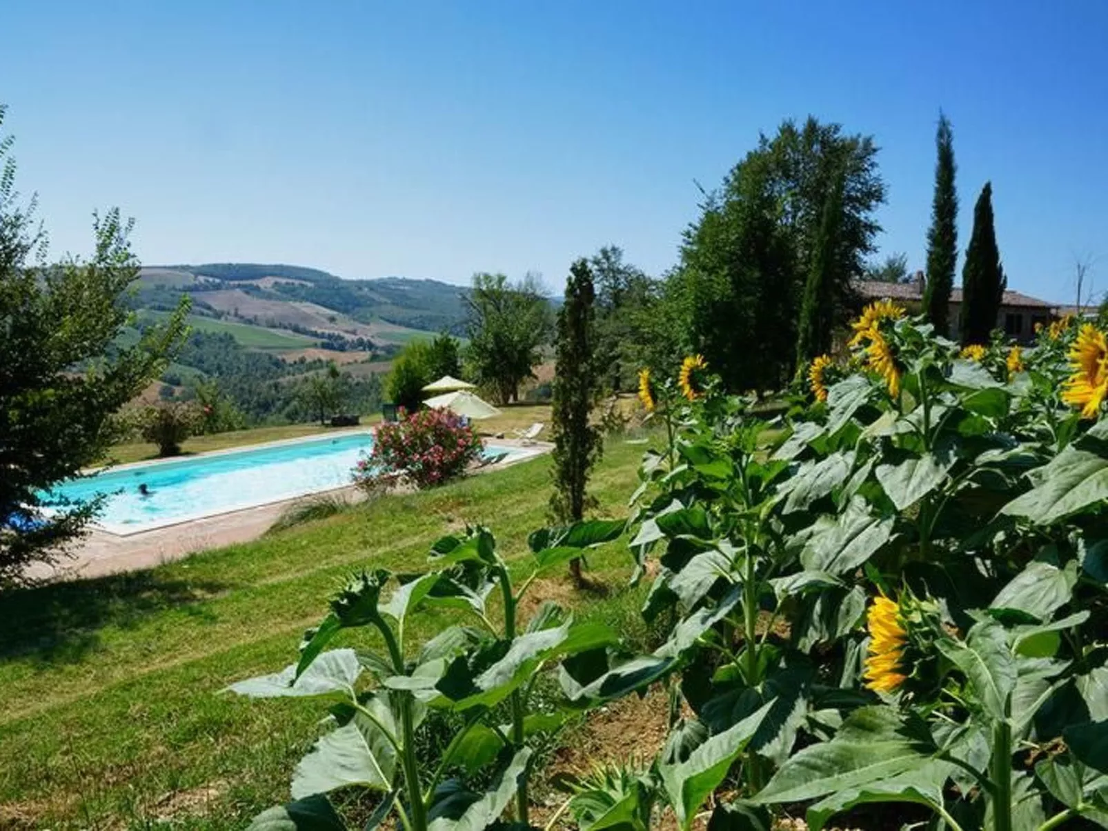 L'Ulivo-Image-tags.info