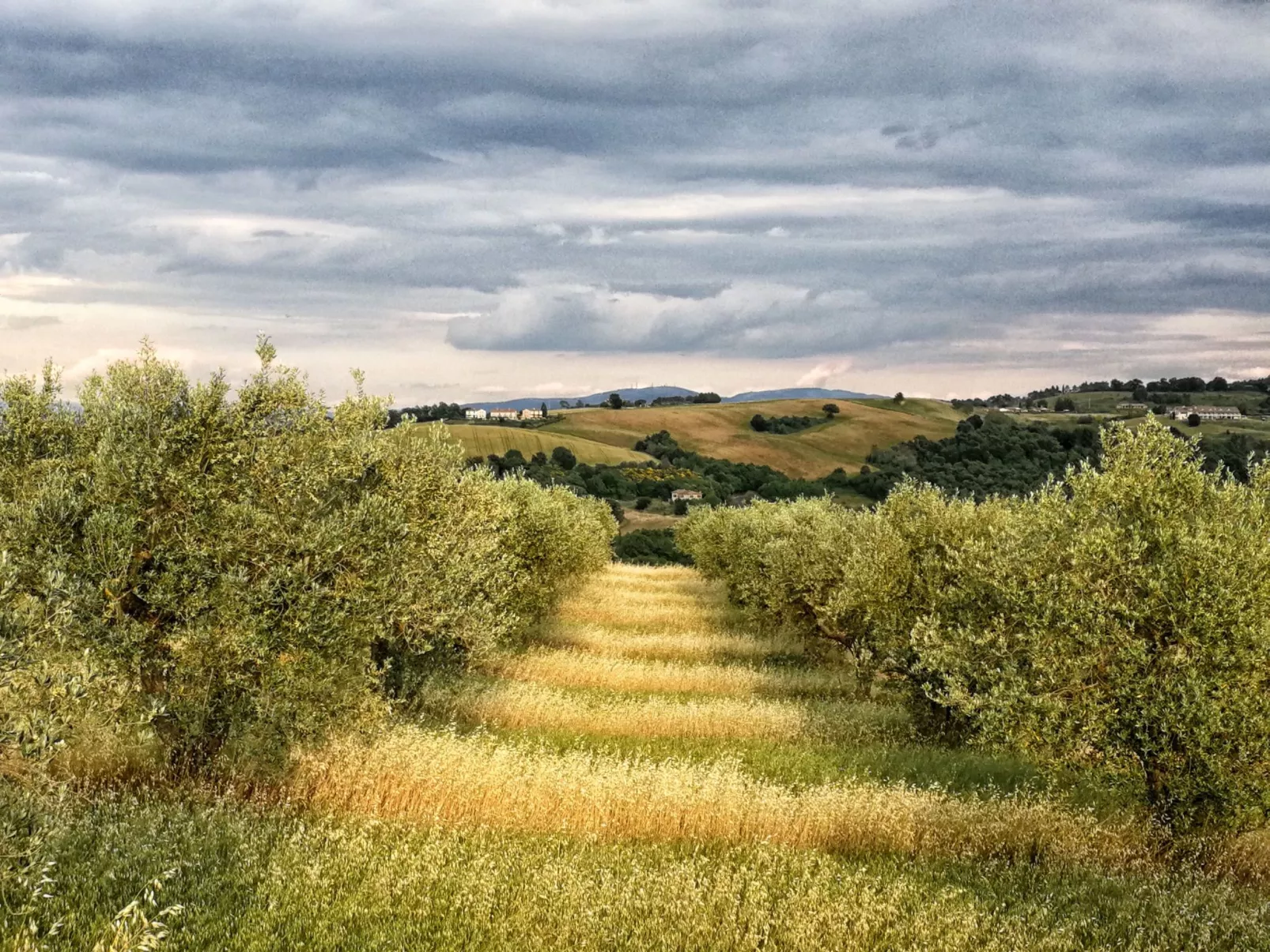 Das Walnusshaus-Buiten