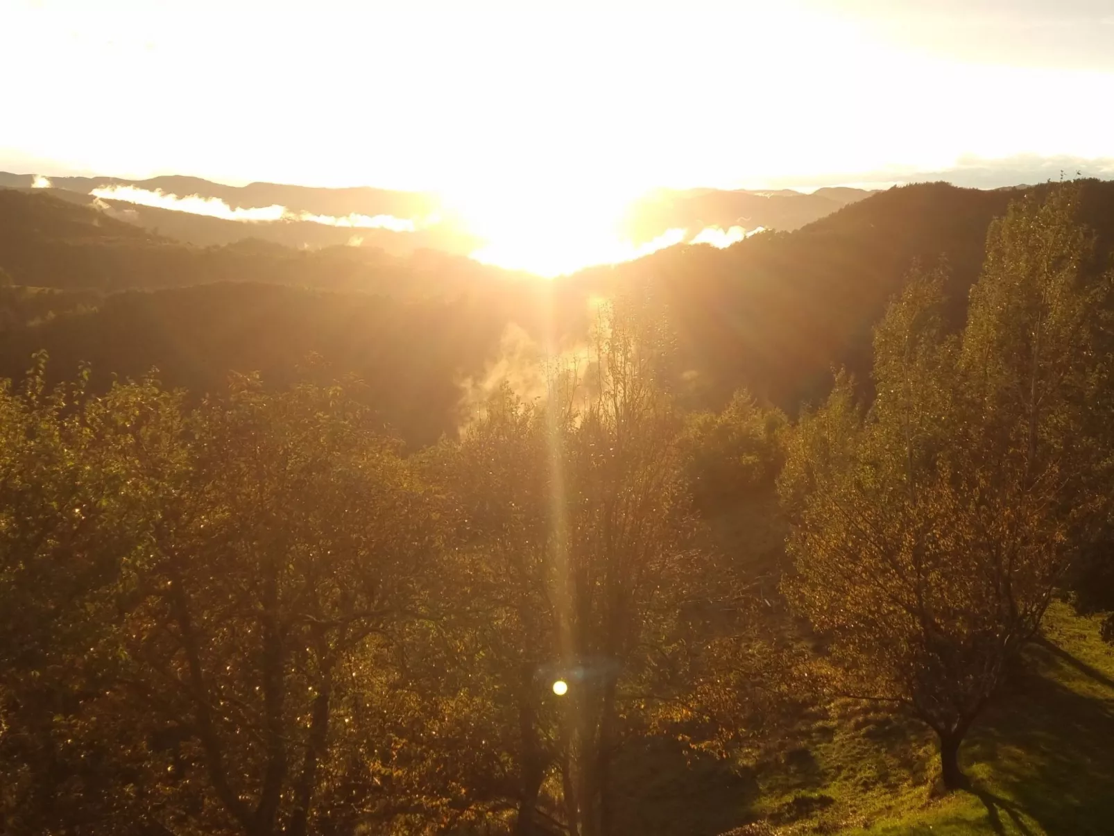 Cascina Bricco - Perletto Ferienwohnung-Buiten