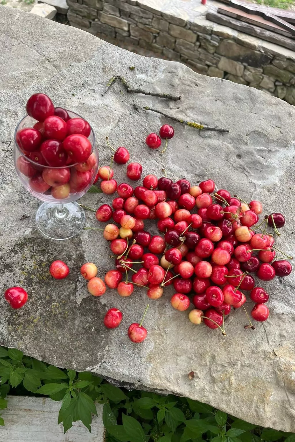 "Roccaverano" in Cascina Bricco-Binnen