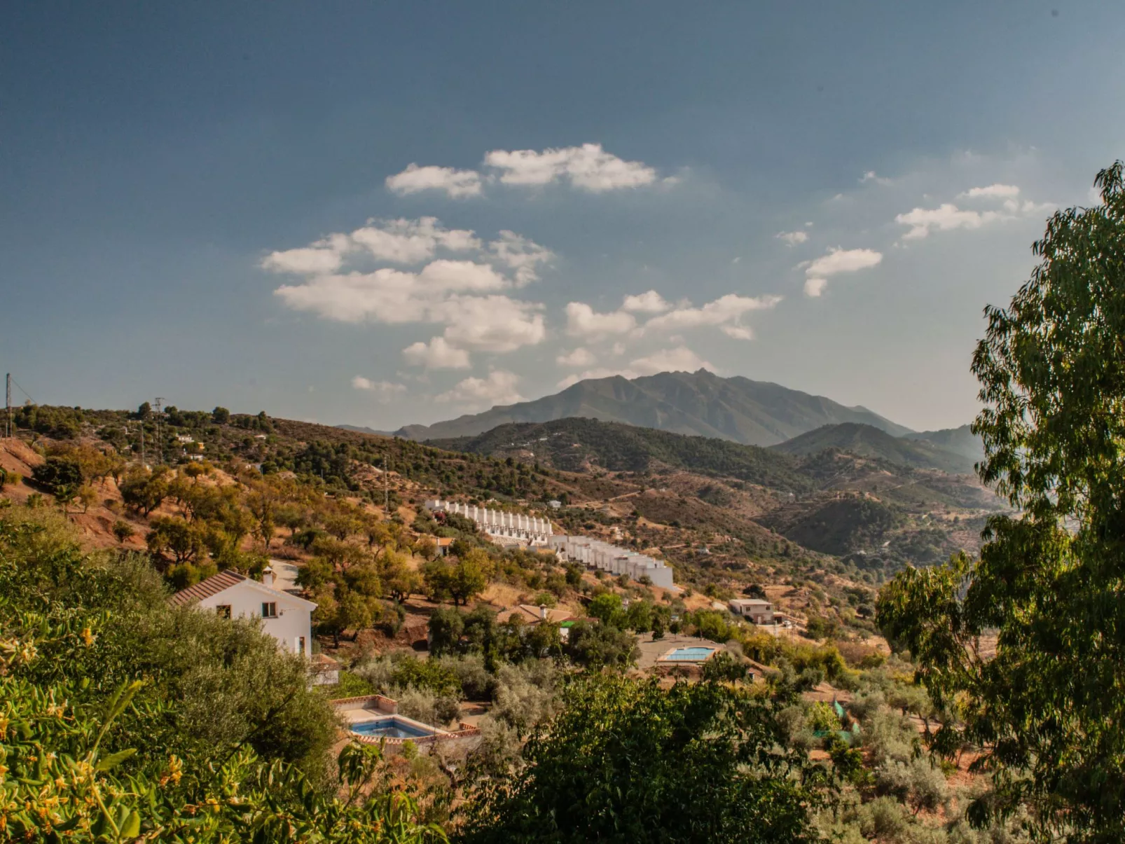 Seeadlerhorst-Buiten