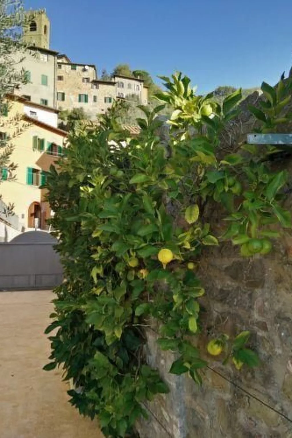 Wohnung "Il Cedro" Penthouse mit Aussicht-Image-tags.info