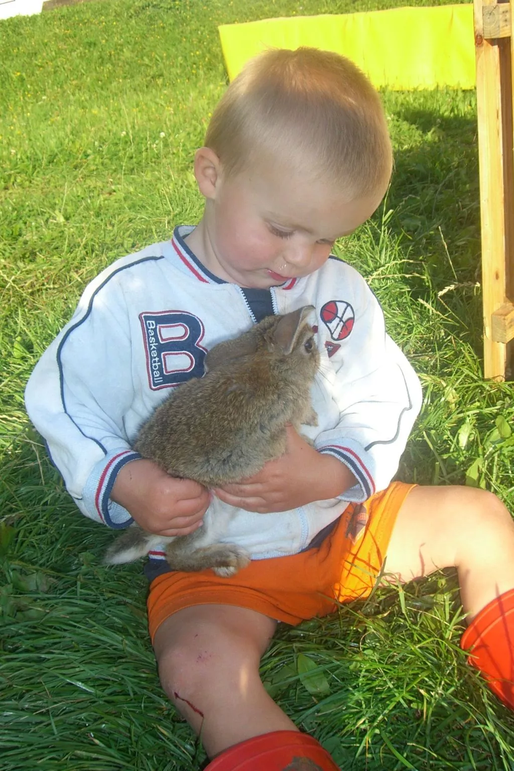 Kompatscherhof-Image-tags.info