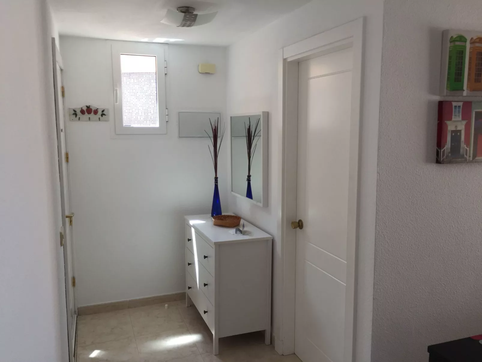 Tajinaste SOL-Binnen