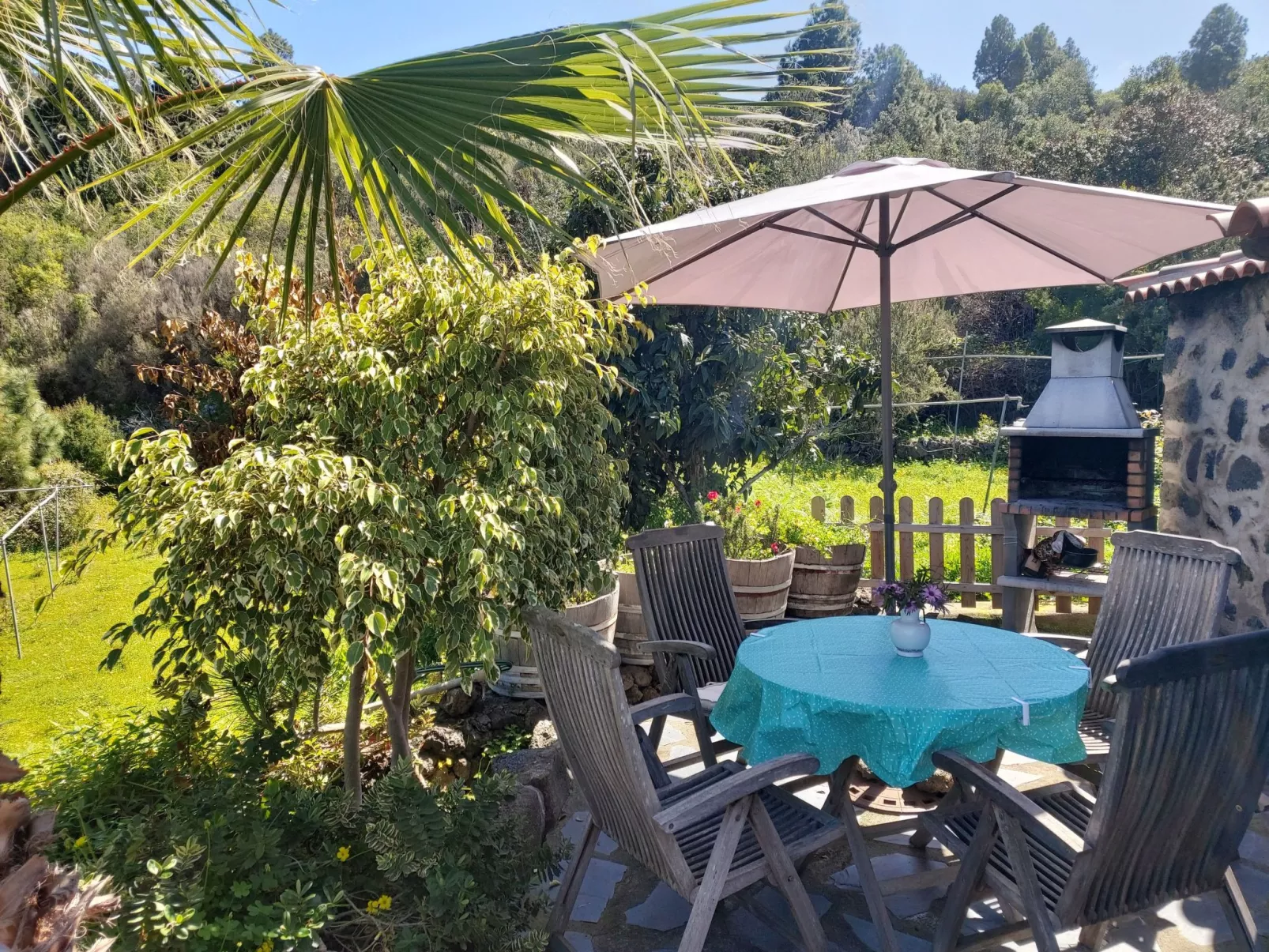 FW Cueva del Viento - Buiten