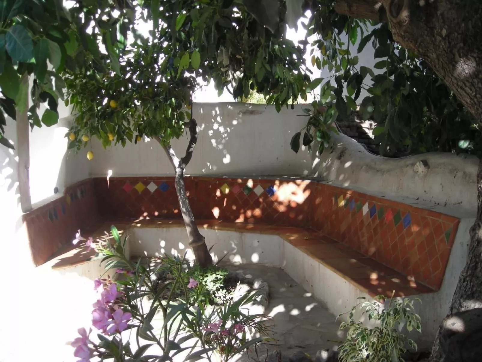 Eine Oase der Ruhe mitten in der Stadt-Image-tags.info