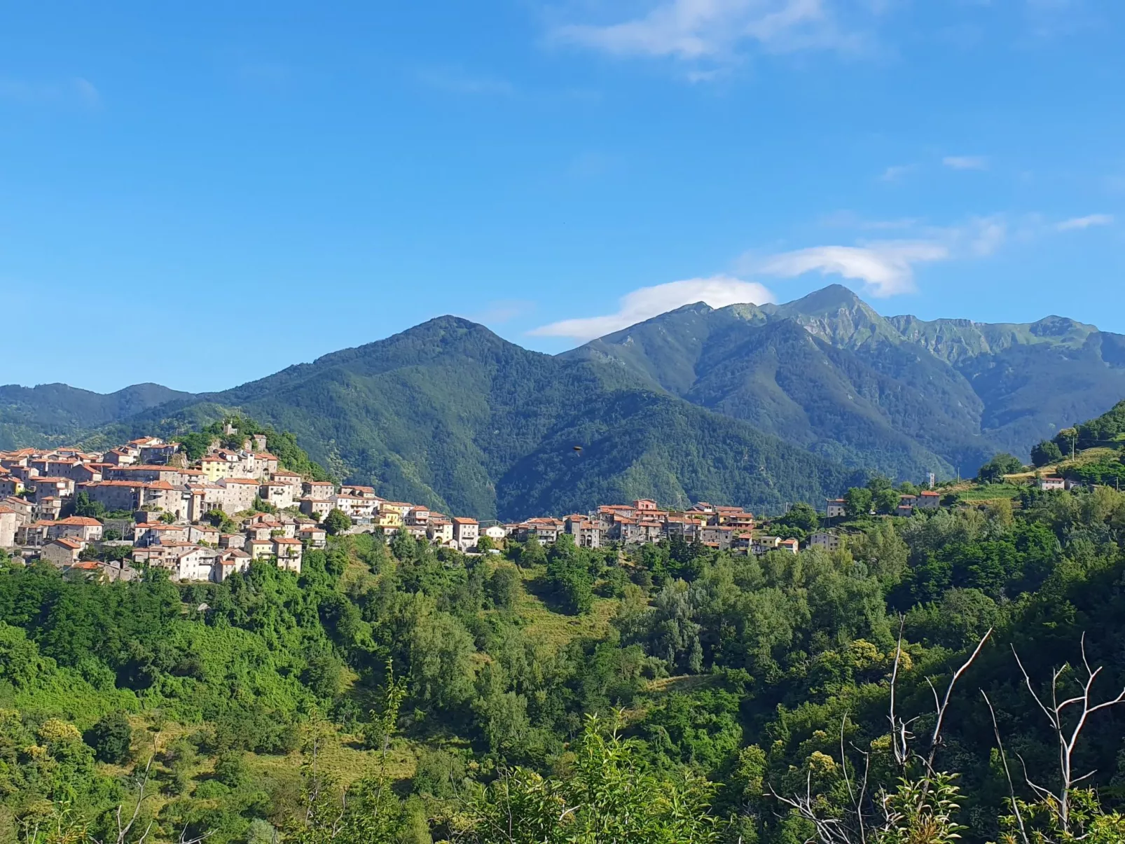 Villa 'Monticello' mit eigenem Pool-Buiten