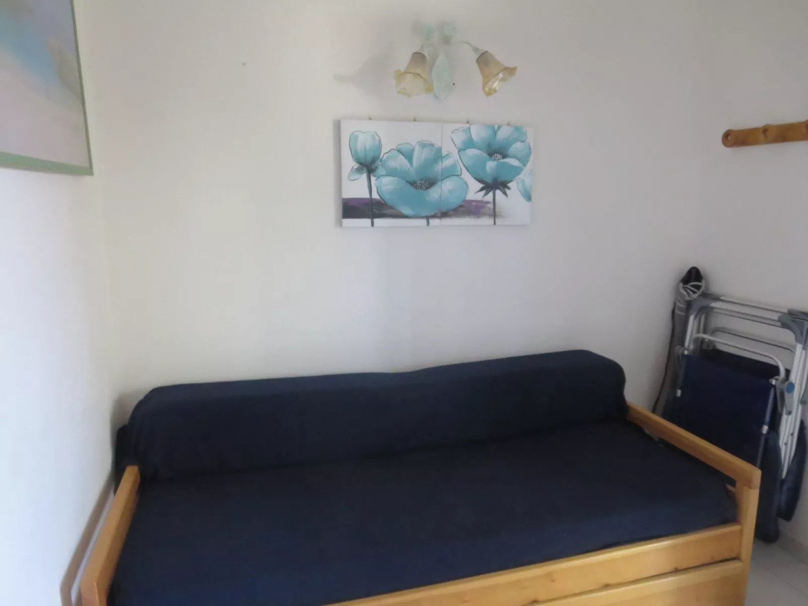 Bilo mimosa-Image-tags.info