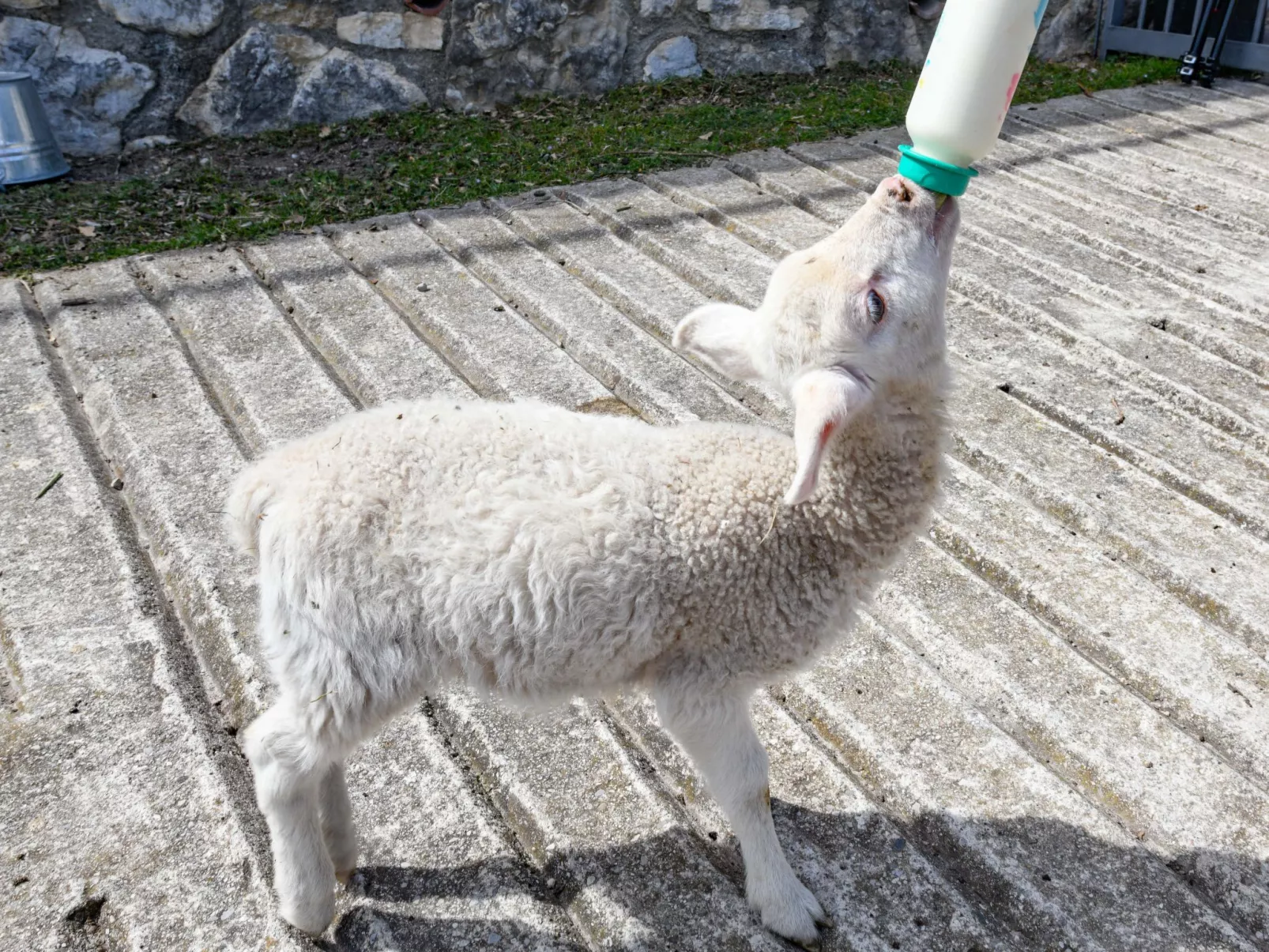 Penthouse-Wohnung-Buiten