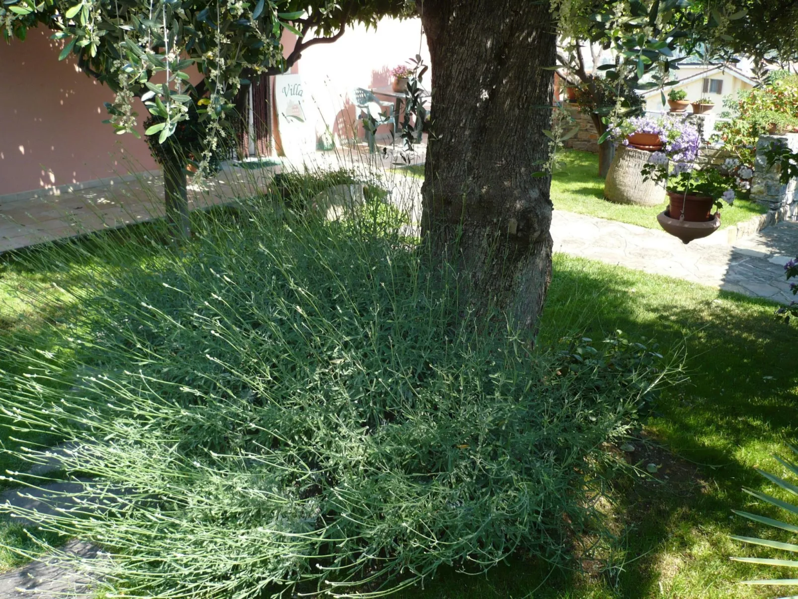 Zwei-Zimmer-Wohnung mit Meer- und Stadtblick-Buiten