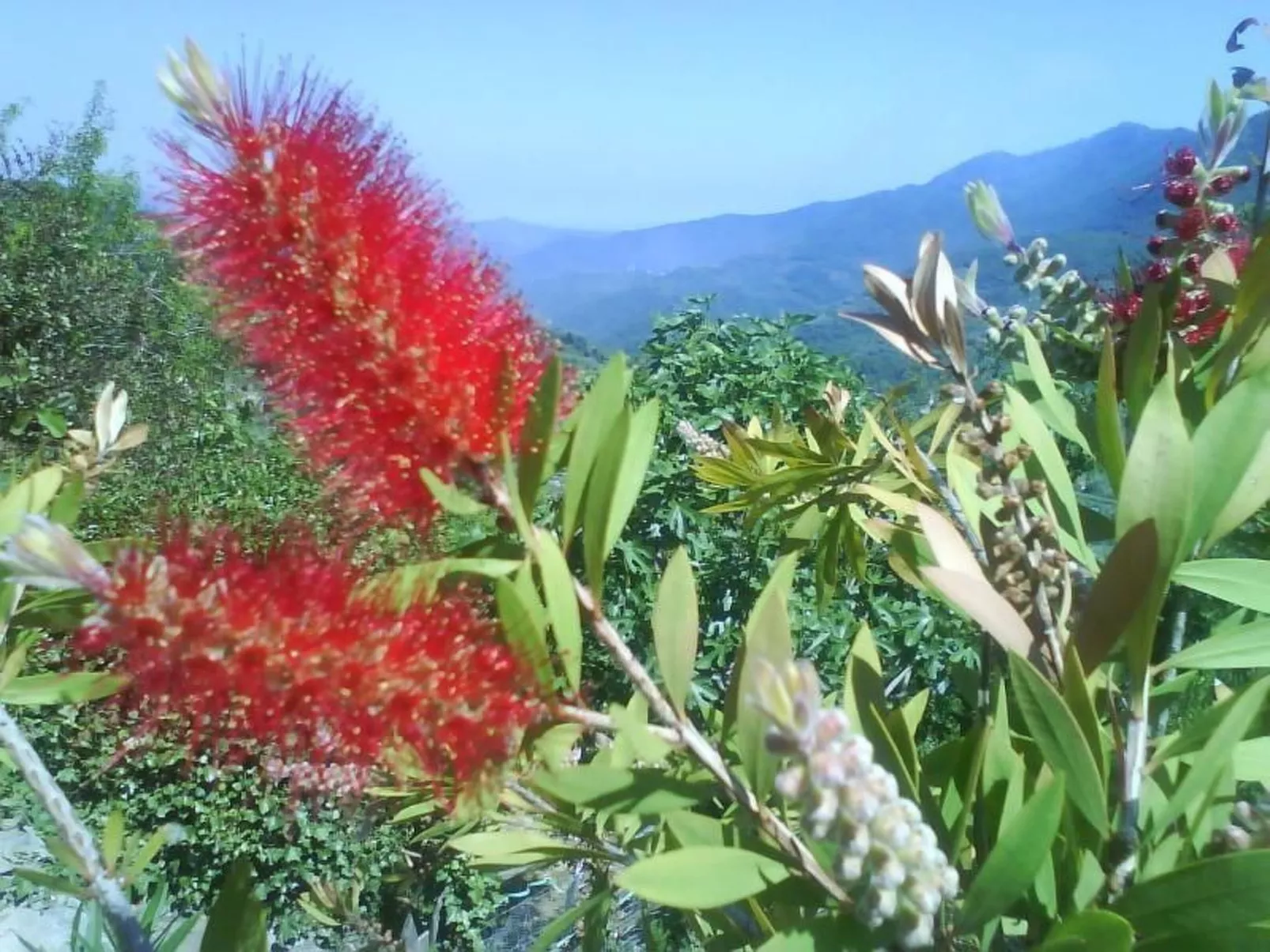 Schönes Ferienhaus mit Garten und Whirlpool-Buiten