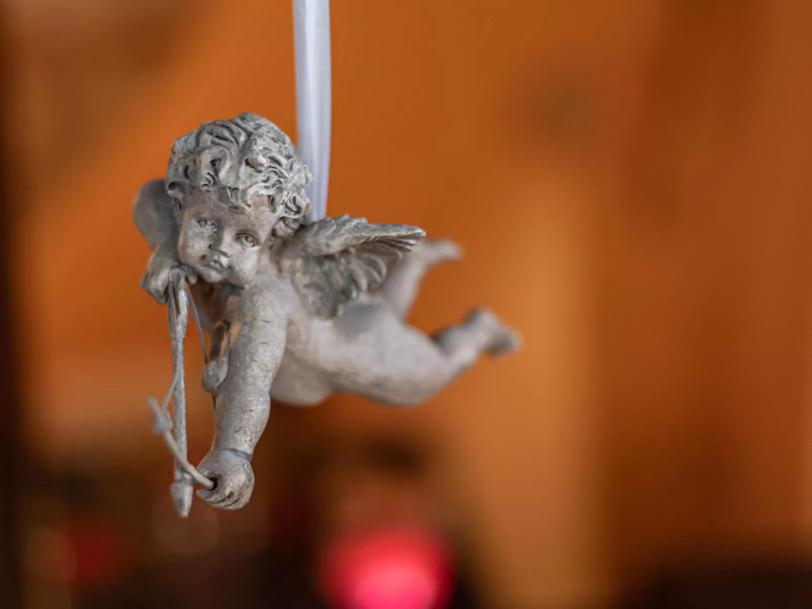 Haubentaucher-Binnen